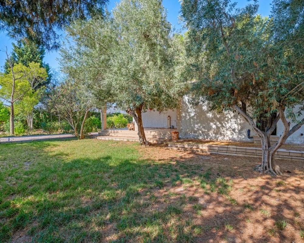Properties for sale and rent in Spain photo 2