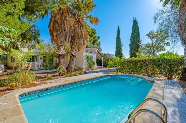 Independent chalet for sale in Partida Camino Alamico, 998, Benferri
 photo 4