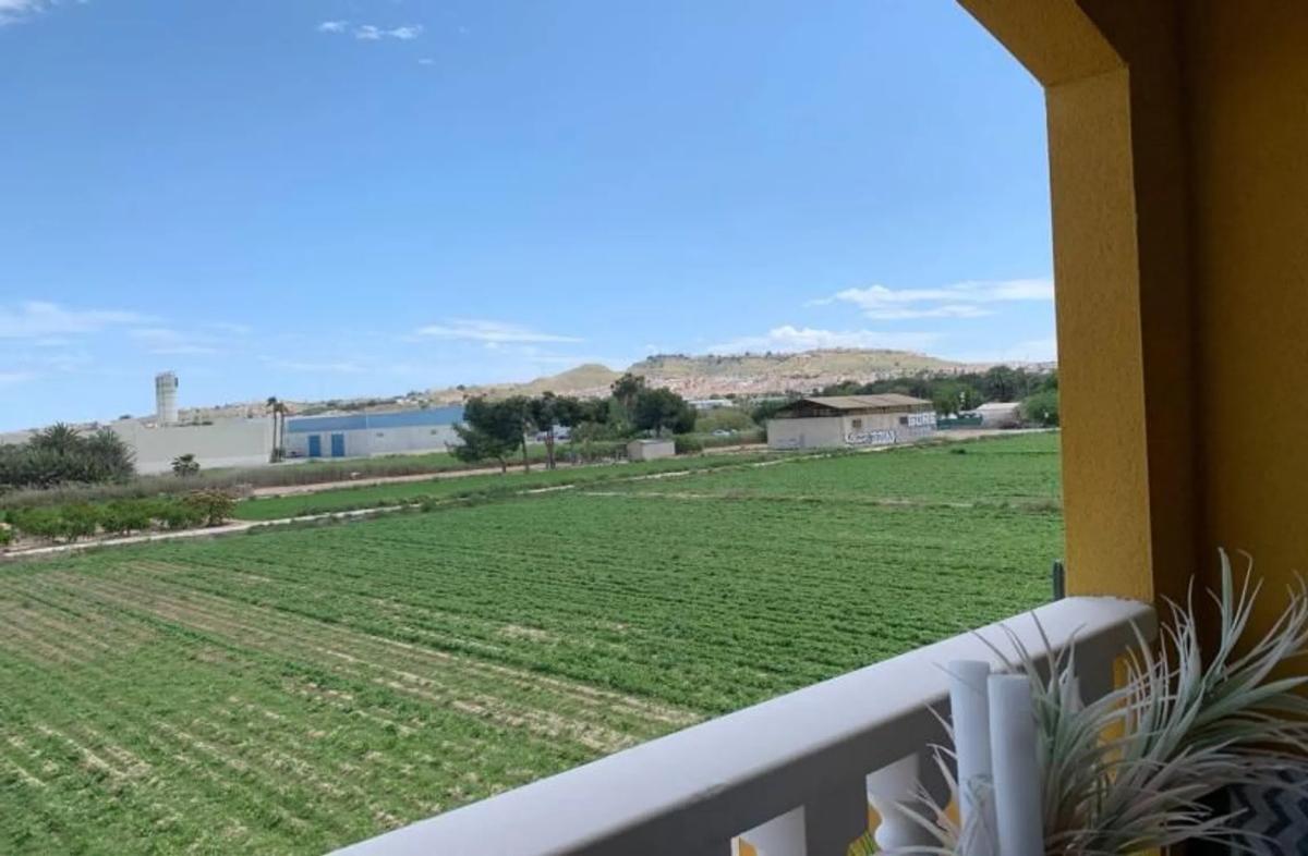 Venta de piso en Piso en Formentera del Segura, Formentera del Segura
 photo 5