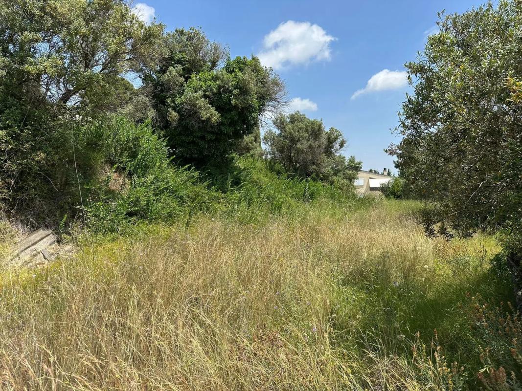 Venta de chalet independiente en Calle de L'Albiol, 2, Castellvell del Camp
 photo 4