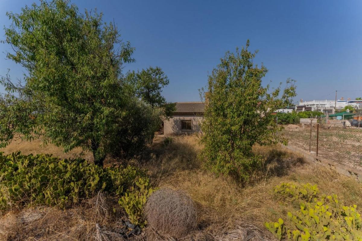 Properties for sale and rent in Spain photo 2