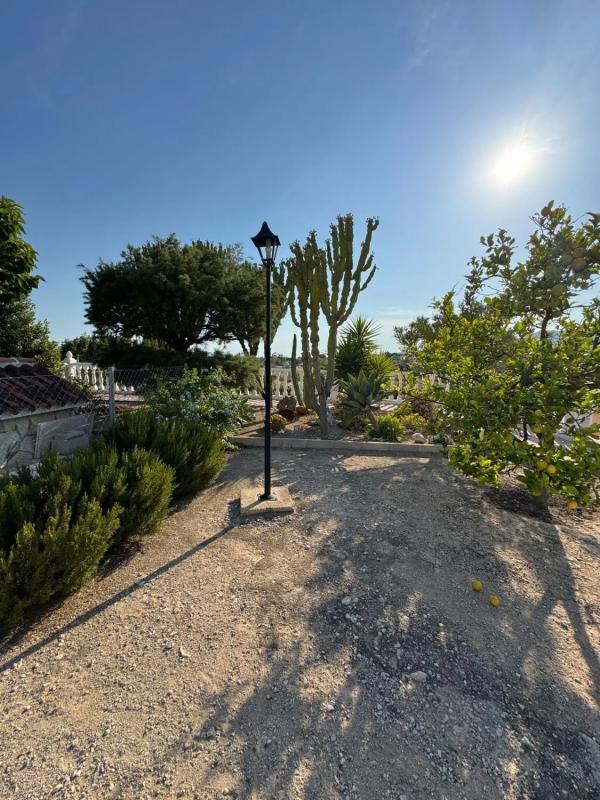 Properties for sale and rent in Spain photo 1