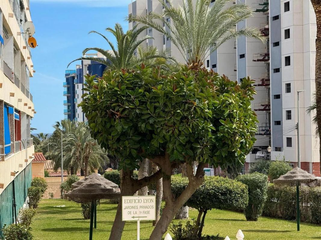Sale of apartment in punta prima, Torrevieja
photo 5