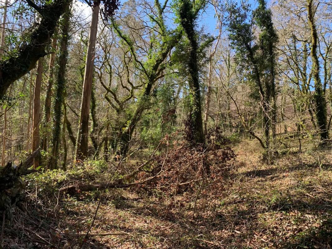 Terreno en venta en A Baña, A Coruña photo 3