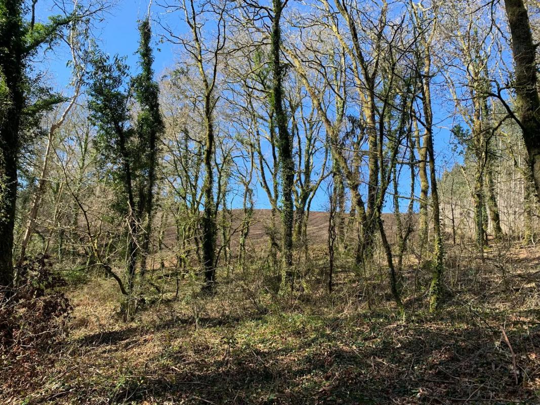 Terreno en venta en A Baña, A Coruña photo 4