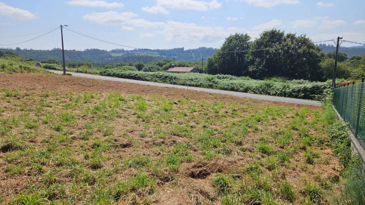 Land for sale in A Baña, A Coruña photo 2