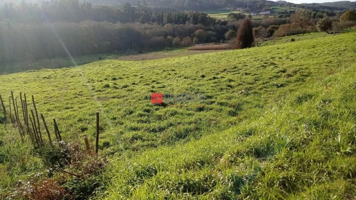 Land for sale in A Baña, A Coruña photo 2