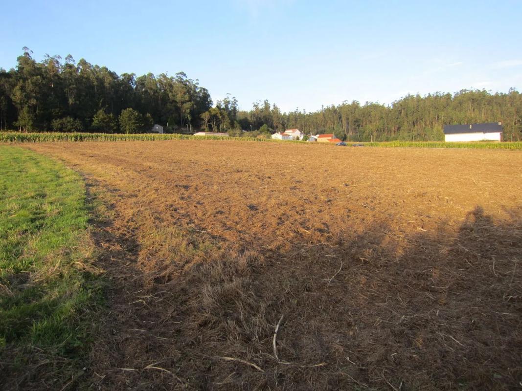 Terreno en venta en A Baña, A Coruña photo 2