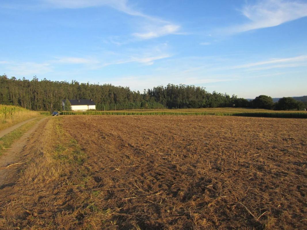 Terreno en venta en A Baña, A Coruña photo 4