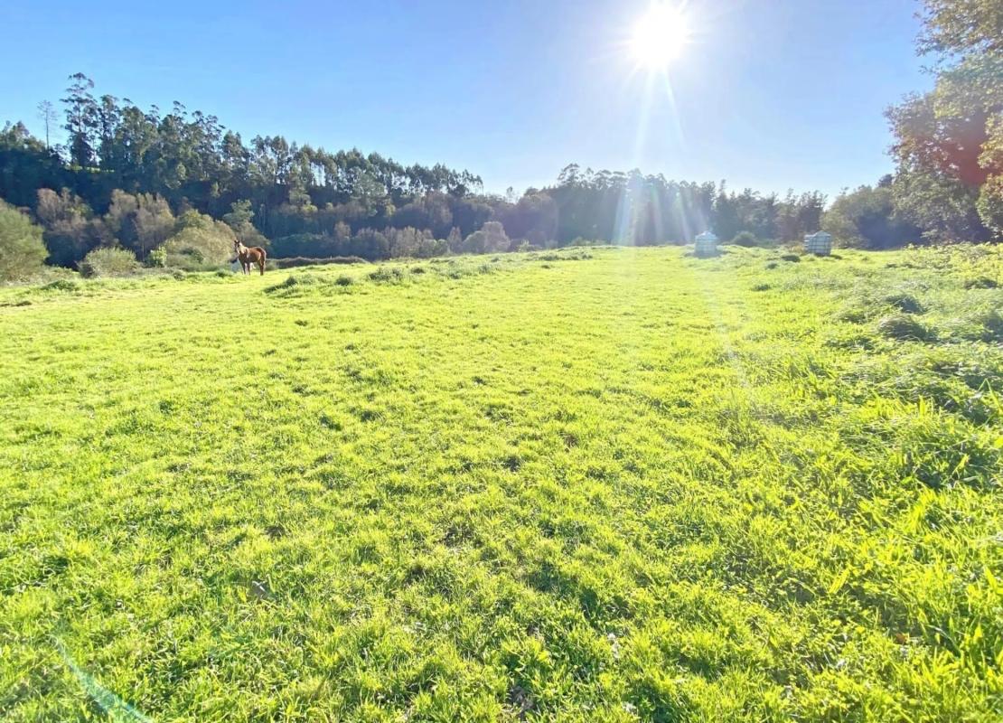 Terreno en venta en A Capela, A Coruña photo 3
