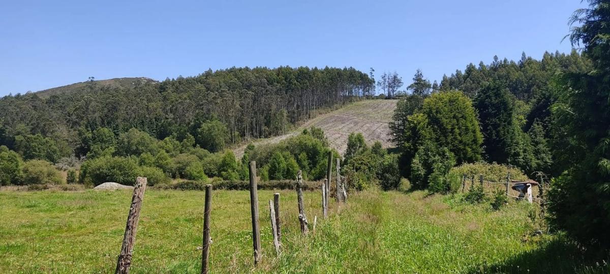 Land for sale in The Chapel, A Coruña photo 3