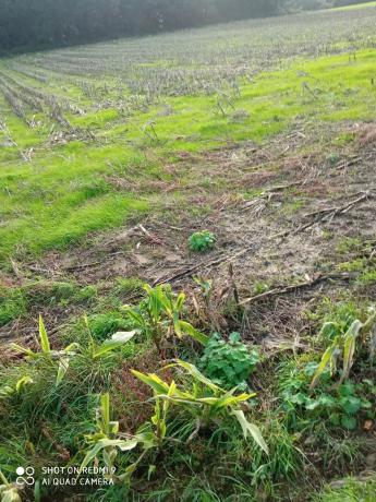 Terreno en camino soutullo s/n photo 1