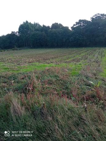 Terreno en camino soutullo s/n photo 2