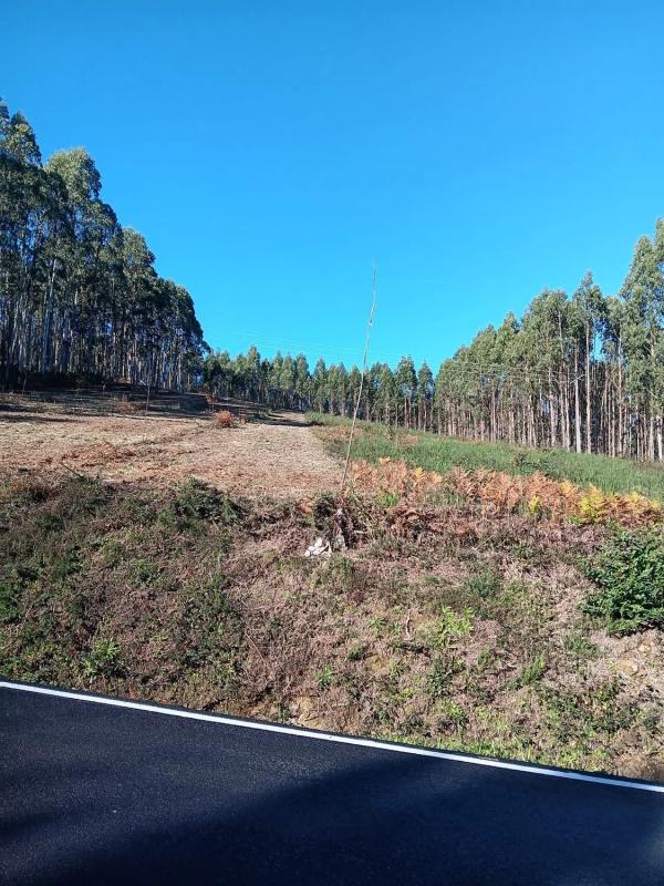 Terreno en venta en Arzua, A Coruña photo 5