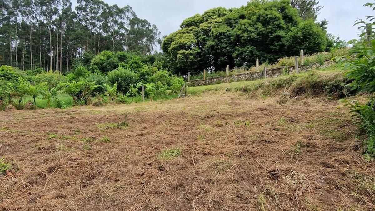 Terreno en venta en Rianxo, A Coruña photo 3