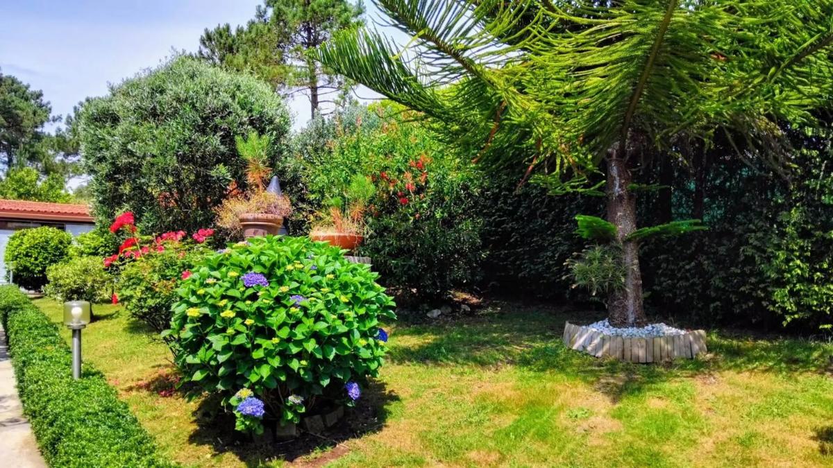 Terreno en venta en Ribeira, A Coruña photo 5