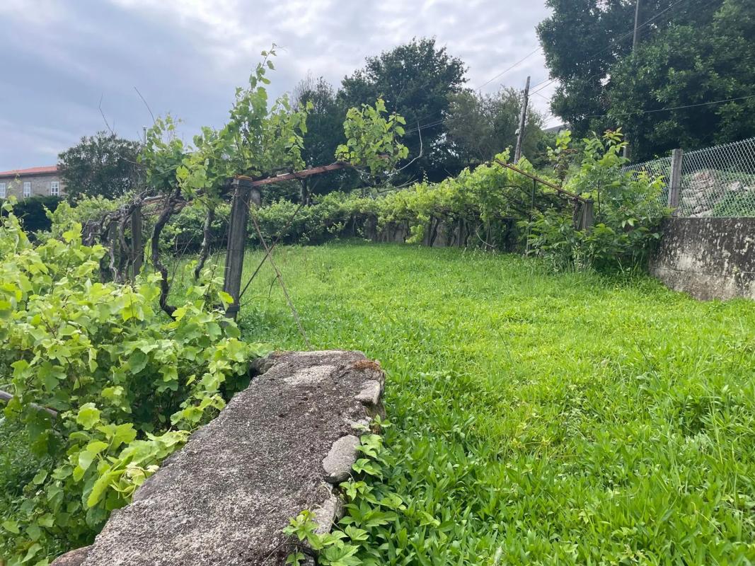 Terreno en venta en Rianxo, A Coruña photo 5