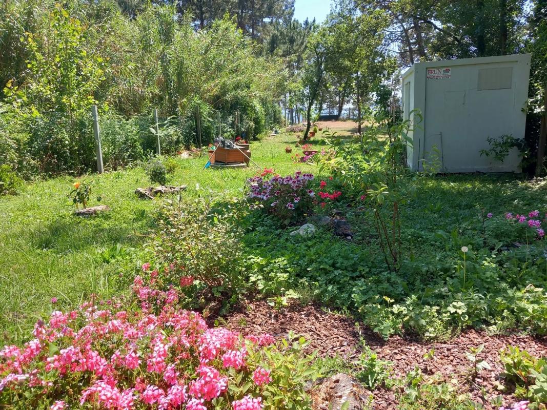 Terreno en venta en Boiro, A Coruña photo 5
