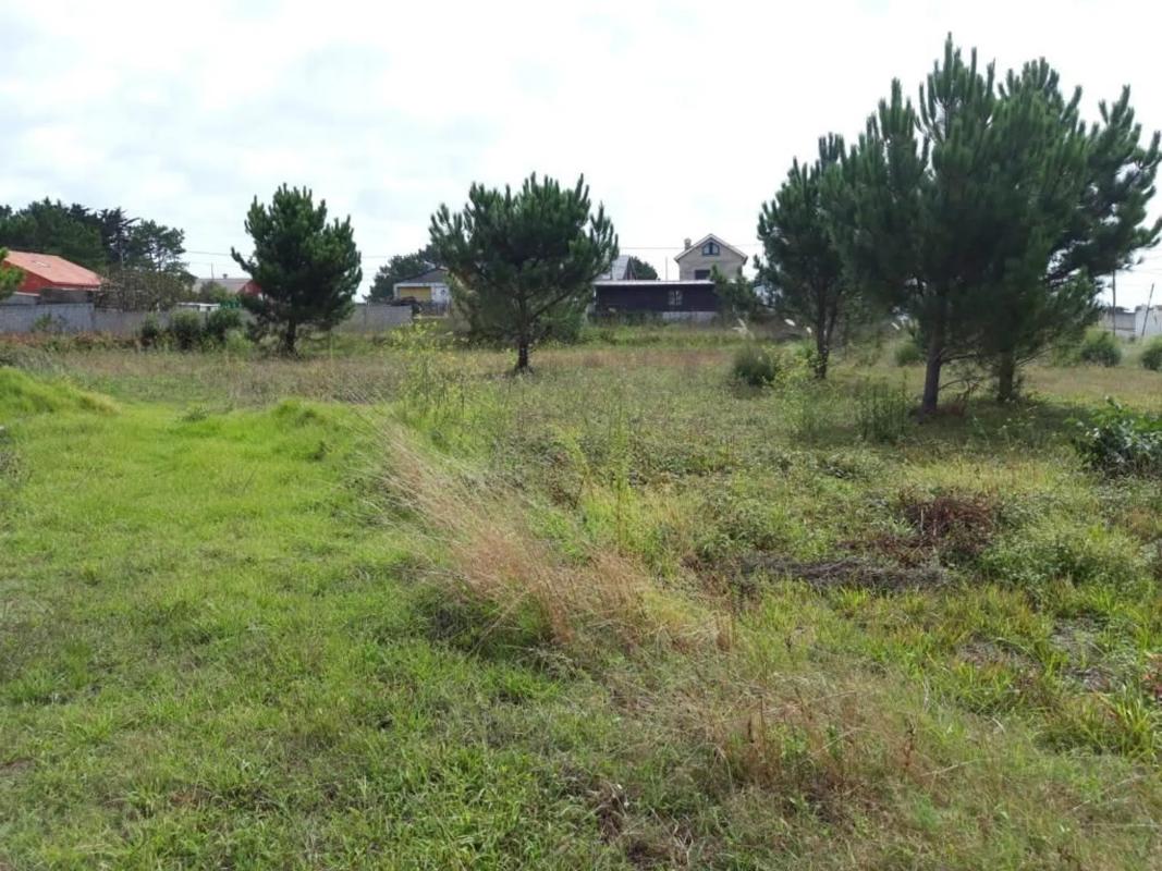 Terreno en venta en Ribeira, A Coruña photo 3