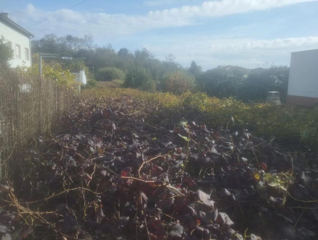 Terreno en venta en Boiro, A Coruña photo 3