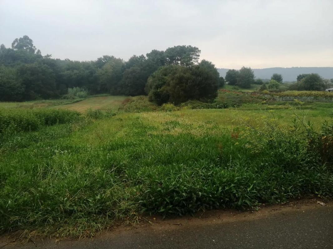 Terreno en venta en Boiro, A Coruña photo 5