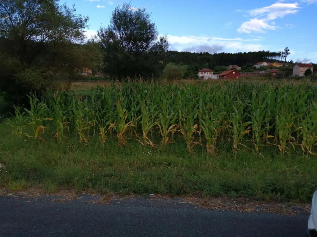 Terreno en venta en Boiro, A Coruña photo 1