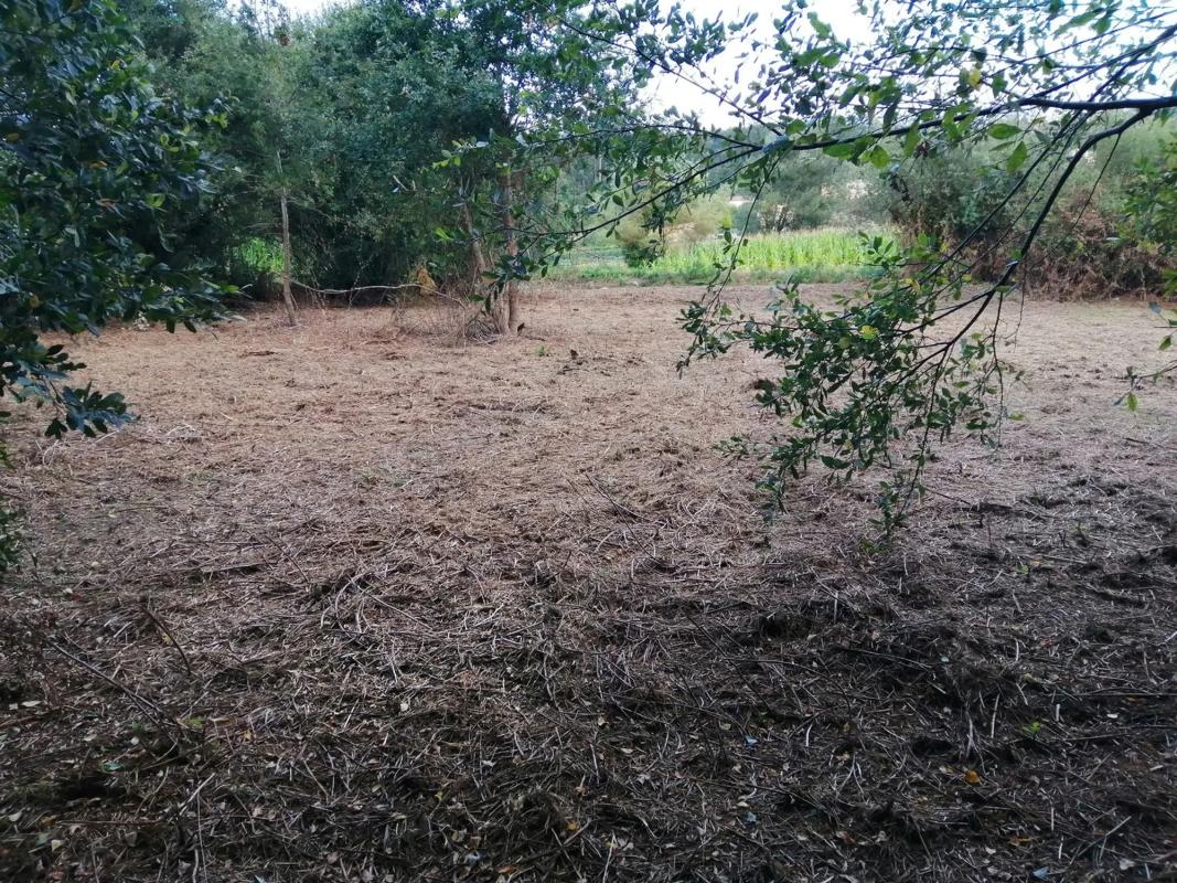 Terreno en venta en Boiro, A Coruña photo 2