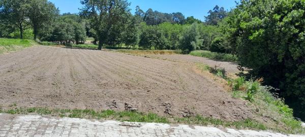 Terreno en Santo Isidro s/n photo 1