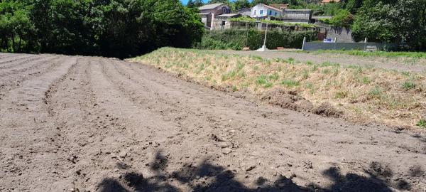 Terreno en Santo Isidro s/n photo 2