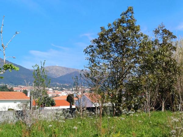 Terreno en Puebla del Caramiñal photo 3