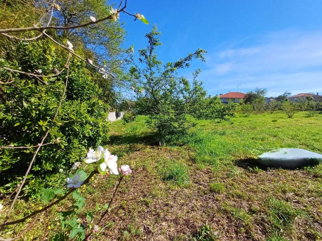 Terreno en venta en Puebla del Caramiñal, A Coruña photo 5