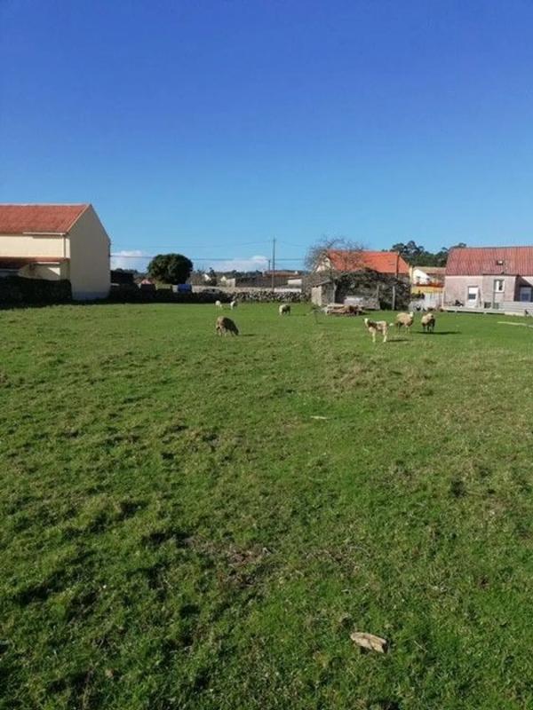 Terreno en venta en Ribeira, A Coruña photo 5