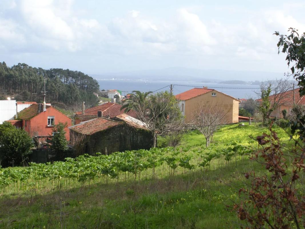 Terreno en venta en Puebla del Caramiñal, A Coruña photo 4
