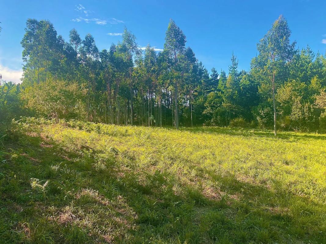 Участок земли на продажу в Рибейра, Ла-Коруня photo 5