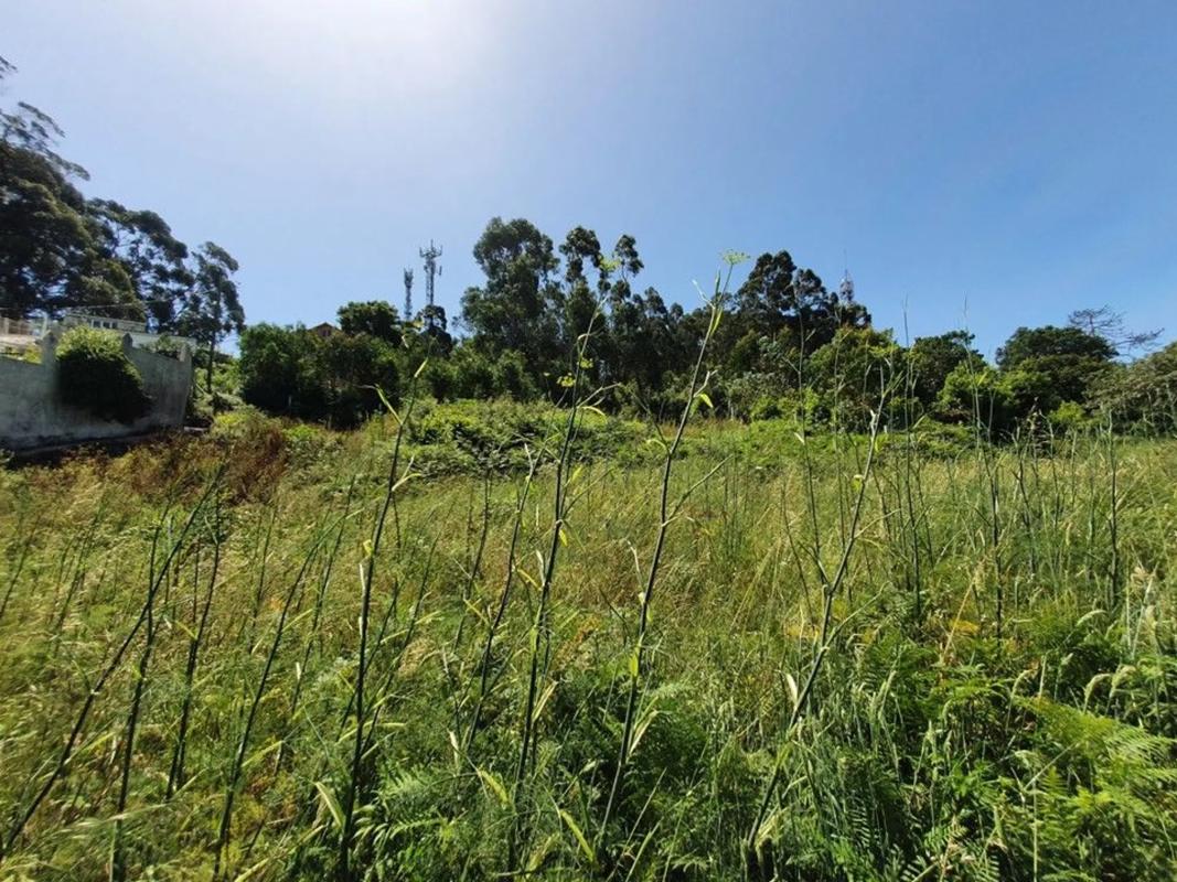Terreno en venta en Ribeira, A Coruña photo 5