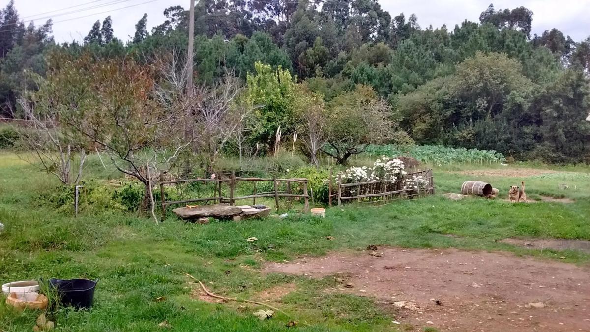 Land for sale in Puebla del Caramiñal, A Coruña photo 1