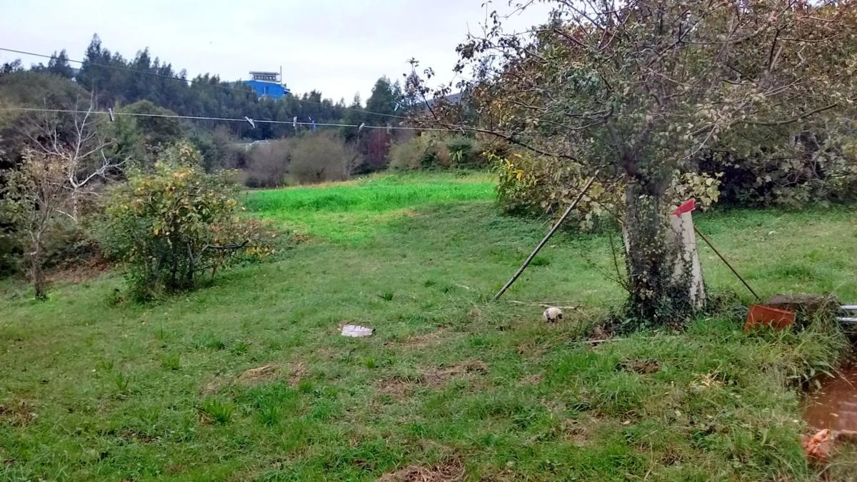 Land for sale in Puebla del Caramiñal, A Coruña photo 3