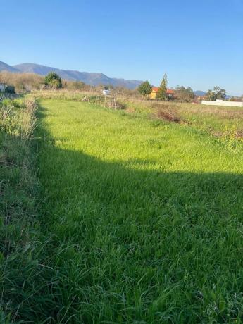 Terreno en calle laxe s/n photo 1