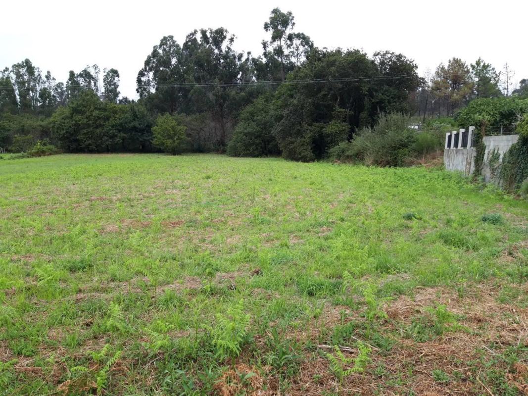 Terreno en venta en Rianxo, A Coruña photo 4