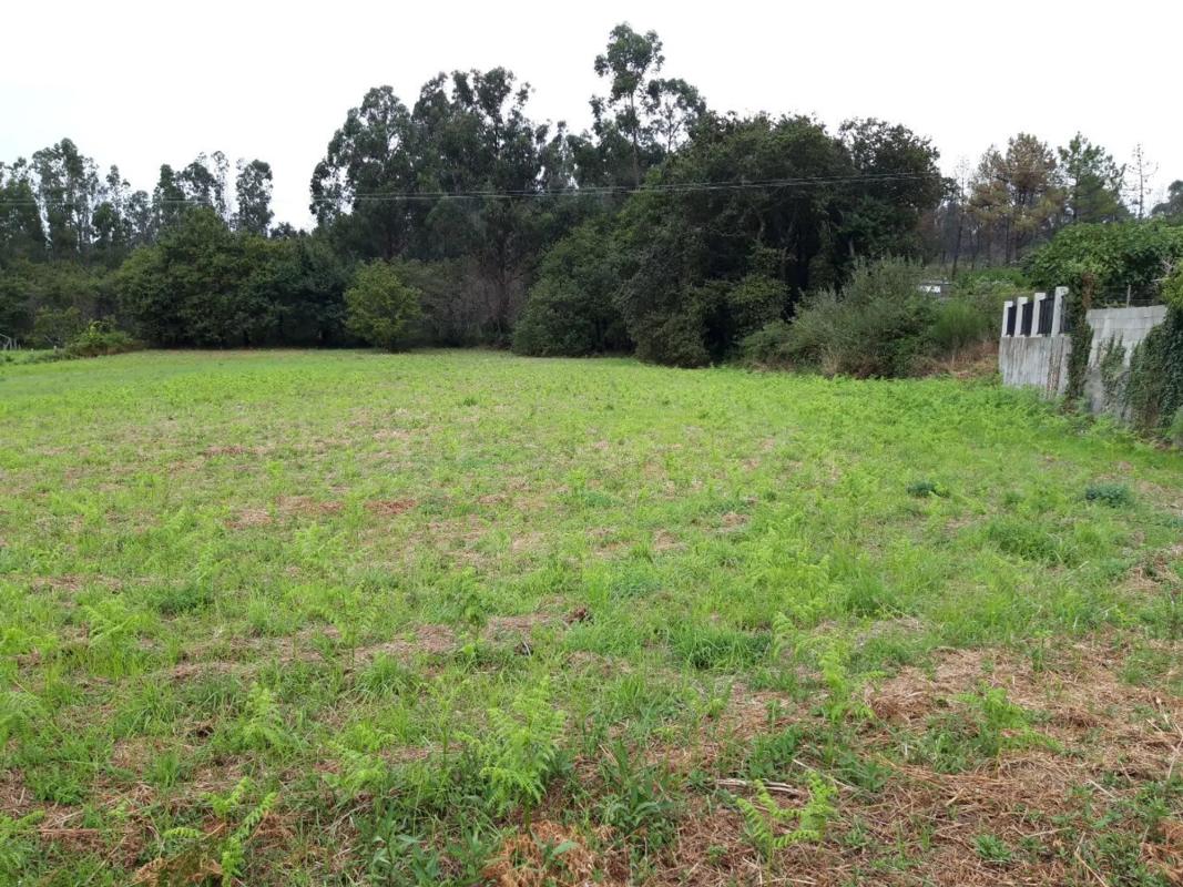 Terreno en venta en Rianxo, A Coruña photo 5