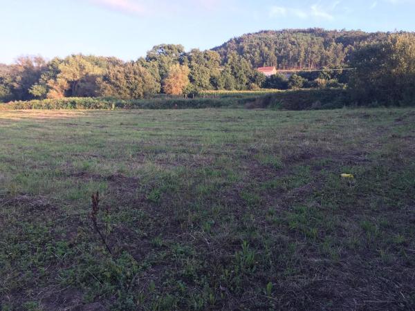 Terreno en Lugar Viñas, 16 photo 1