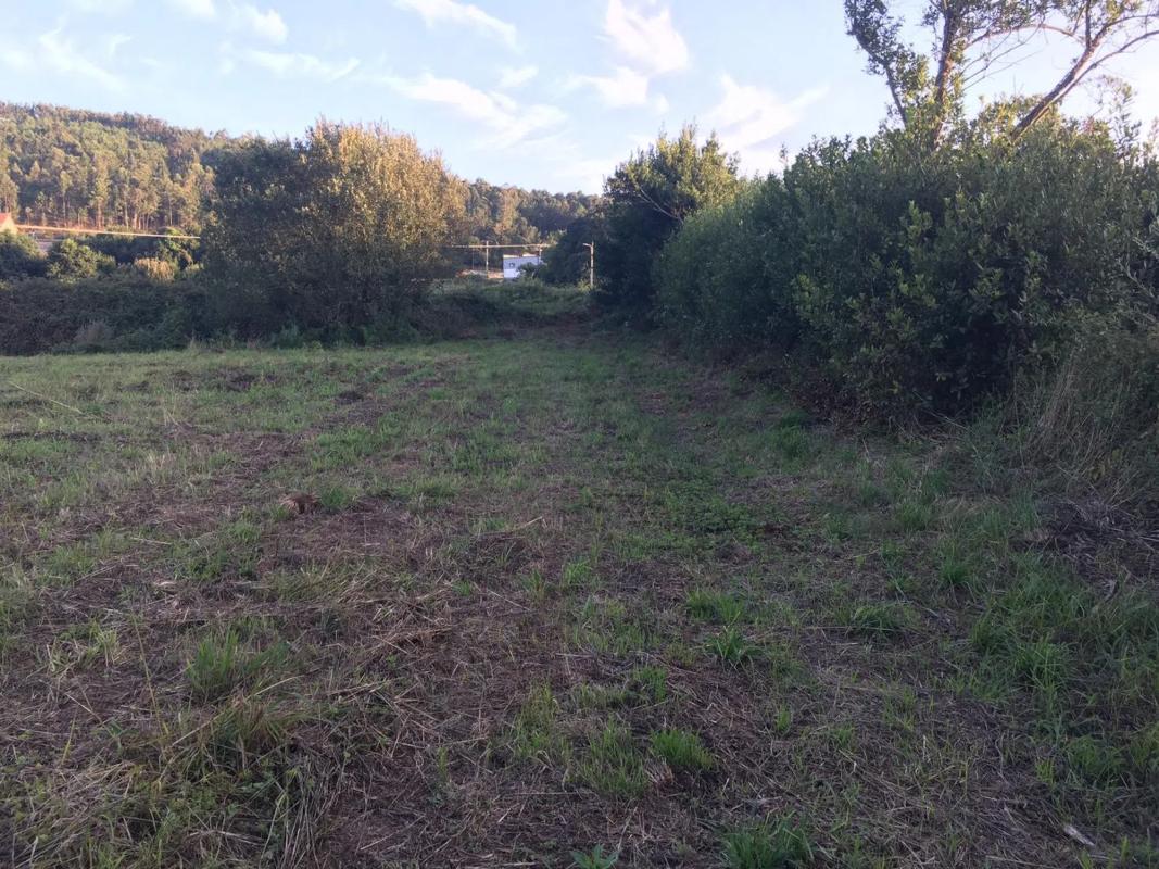 Land for sale in Ribeira, A Coruña photo 2