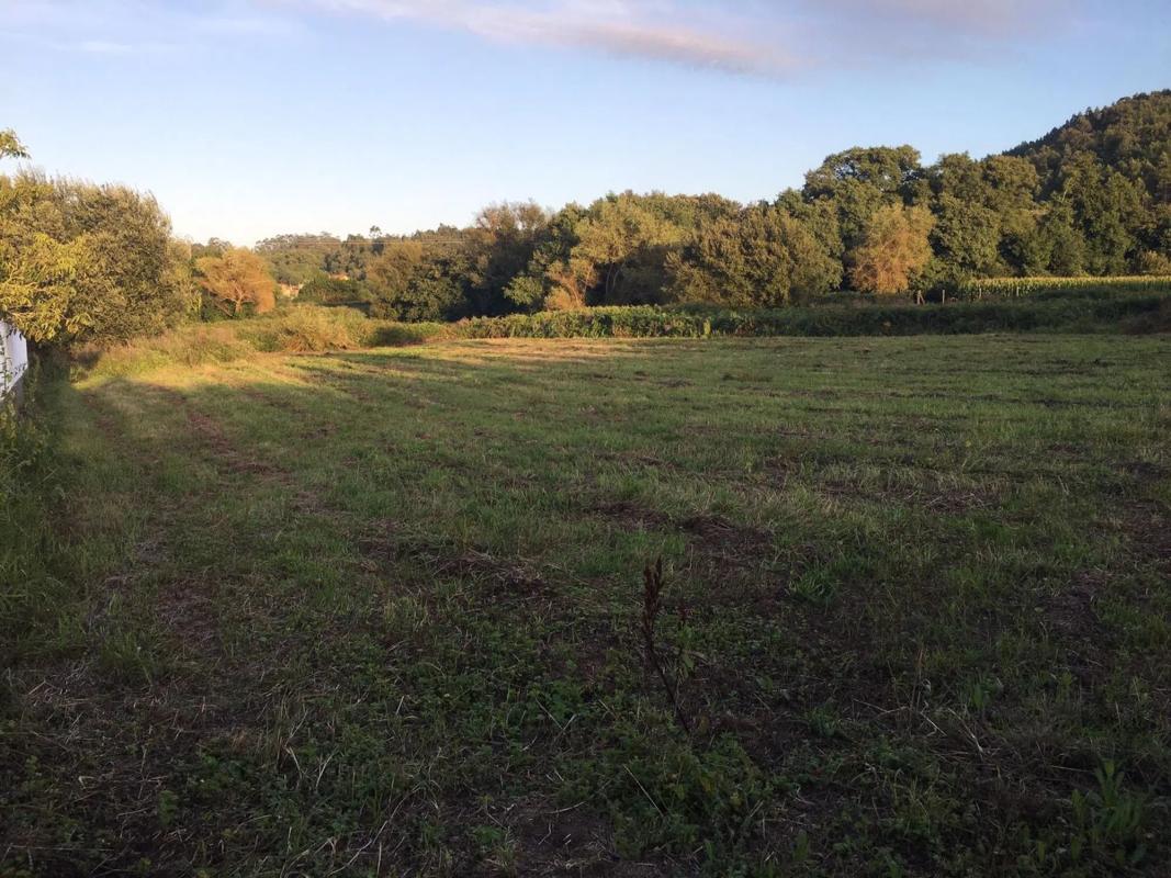 Land for sale in Ribeira, A Coruña photo 3