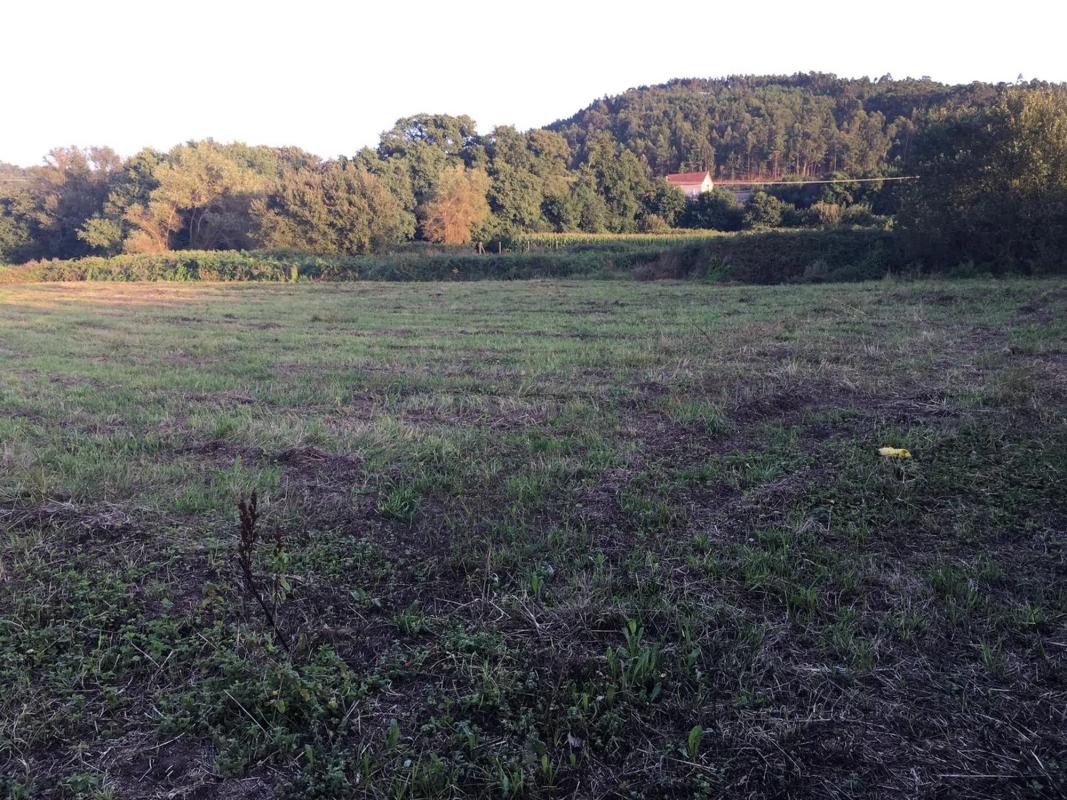 Land for sale in Ribeira, A Coruña photo 5