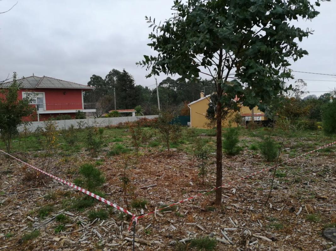 Terreno en venta en Puebla del Caramiñal, A Coruña photo 3