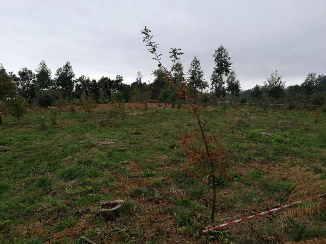 Terreno en venta en Puebla del Caramiñal, A Coruña photo 5