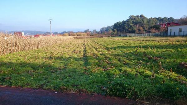 Terreno en calle as Mangas, 49 photo 3