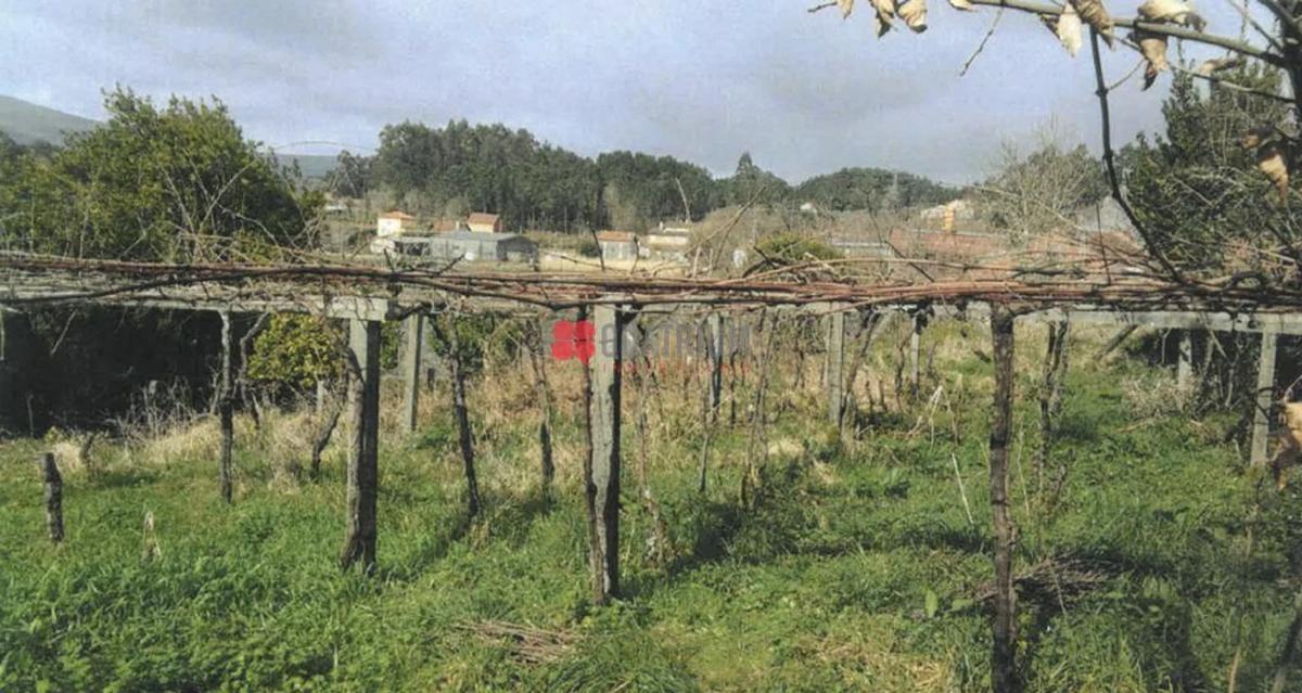 Land for sale in Rianxo, A Coruña photo 2