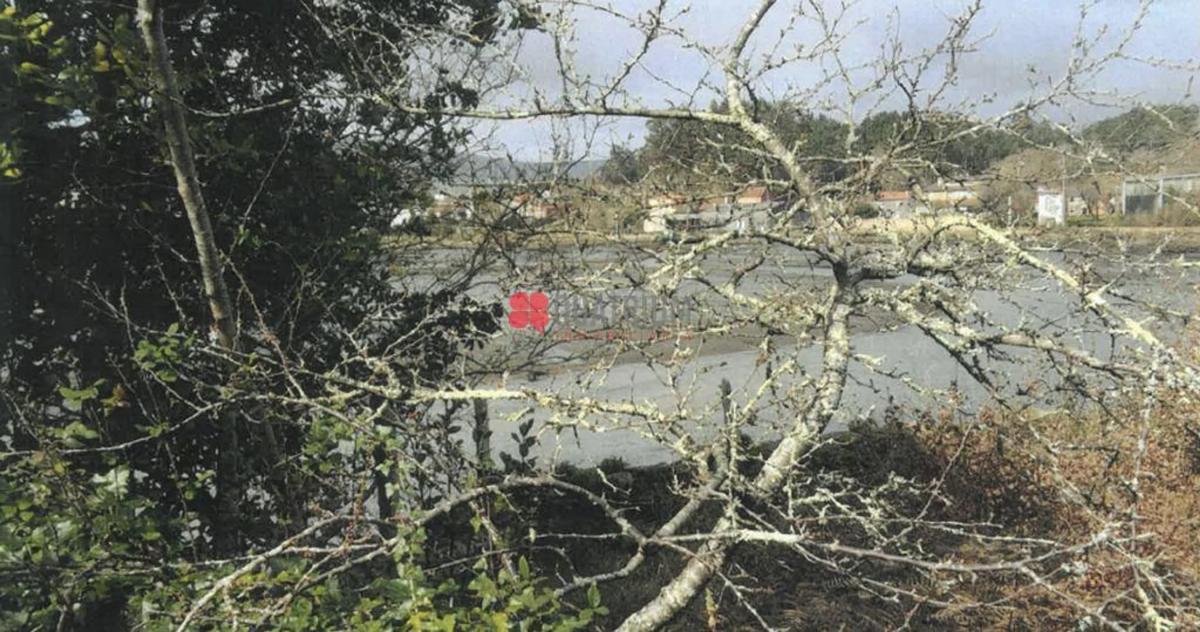 Land for sale in Rianxo, A Coruña photo 3