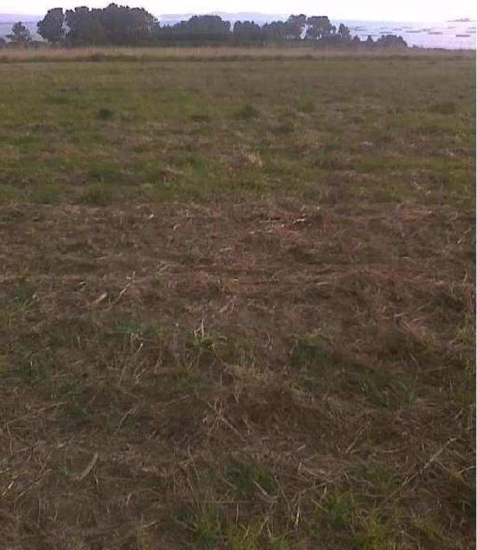 Terreno en venta en Puebla del Caramiñal, A Coruña photo 1